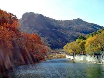 奥门天天开奖免费资料，站群模板